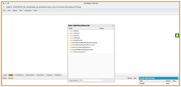 Developer Console