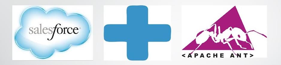 Salesforce Data Migration