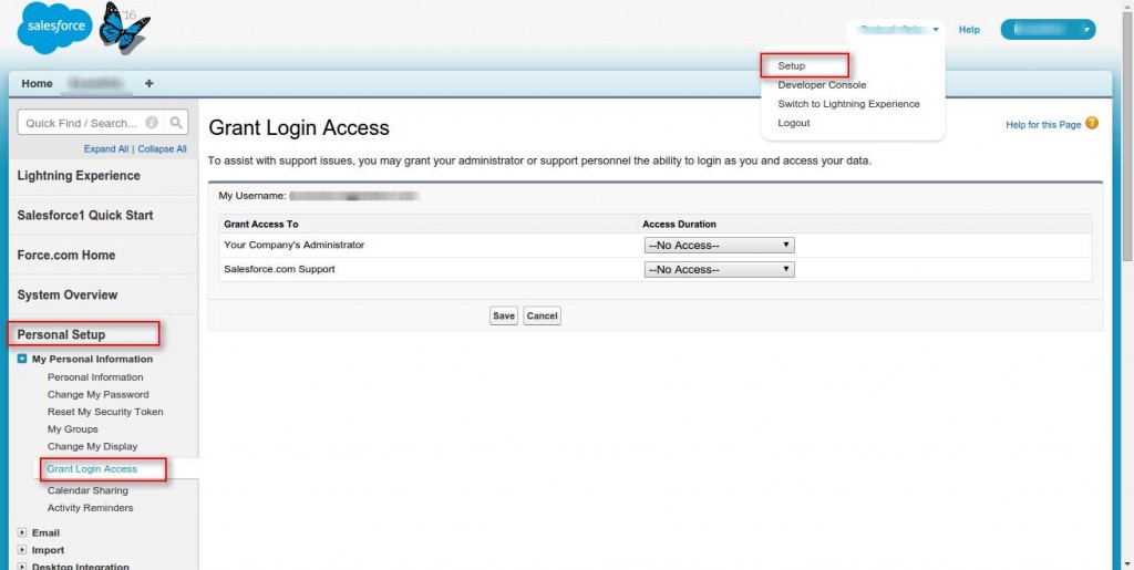 Grant-Login-Access-Salesforce-Developer-Edition