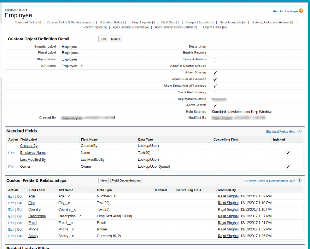 Custom Object Employee Salesforce Developer Edition (1)
