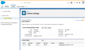 types of custom settings