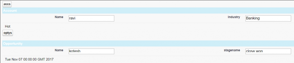 What is Wrapper Class in Salesforce - Example 2 Output