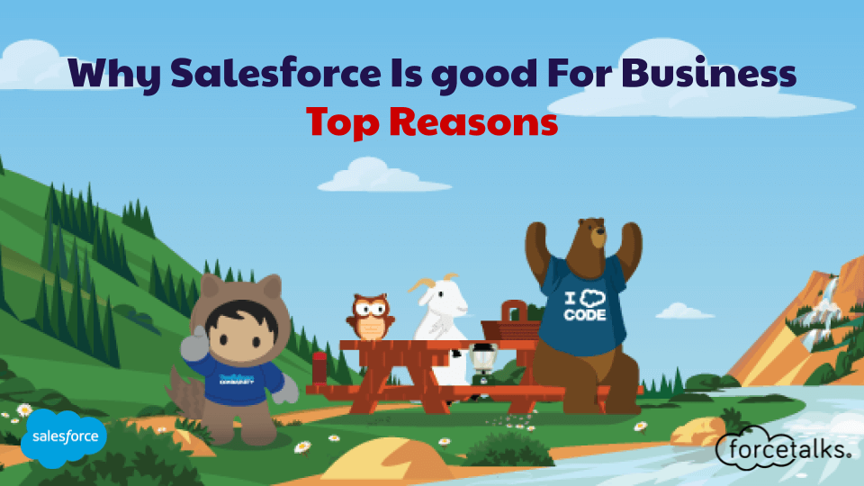 salesforce for business