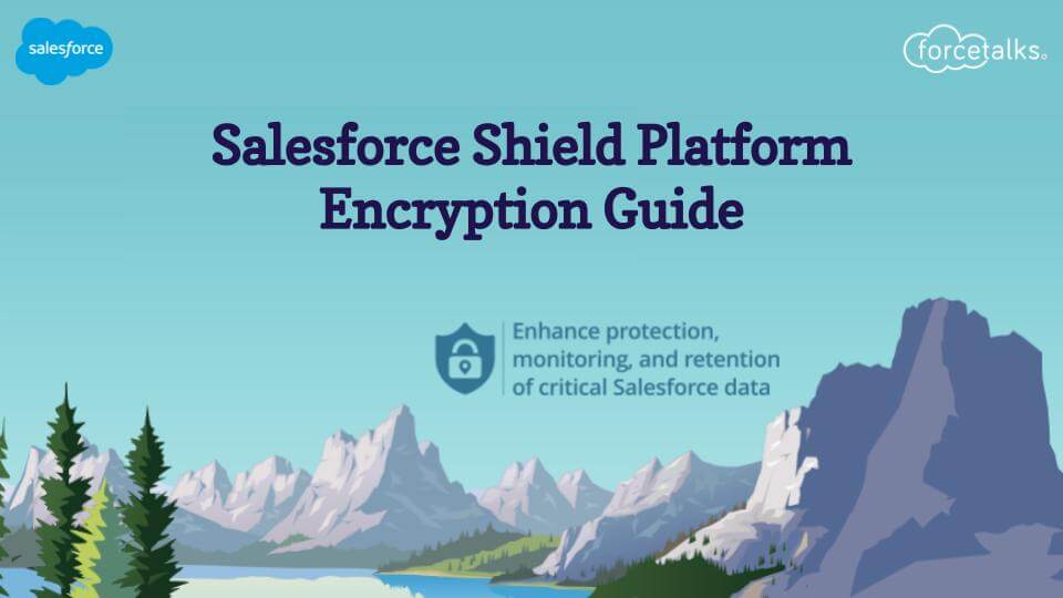 Shield Platform Encryption