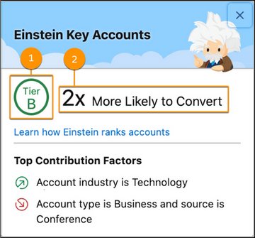 Einstein Key Accounts