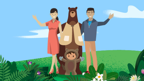 Salesforce Customer