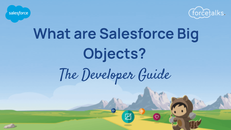 What are Salesforce Big Objects? | The Developer Guide