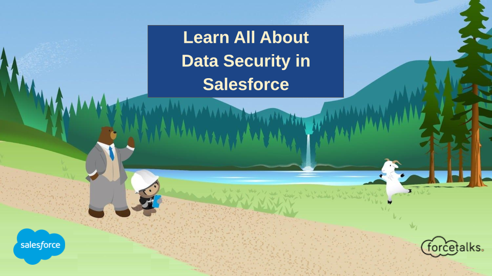 Learn All About Data Security in Salesforce