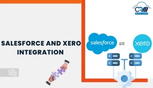salesforce integration with xero 