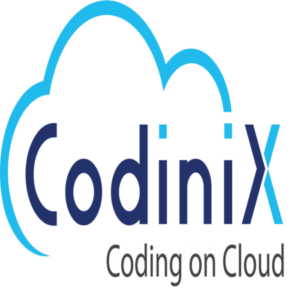 Profile photo of Codinix