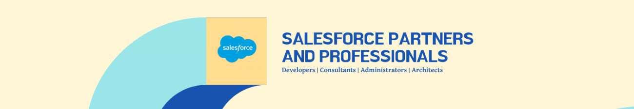 Salesforce Partners and Professionals